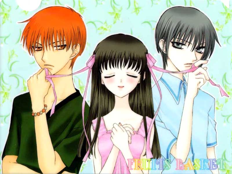 Fruits Basket Story